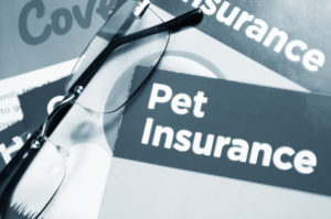 pet insurance, az dog smart, dog training