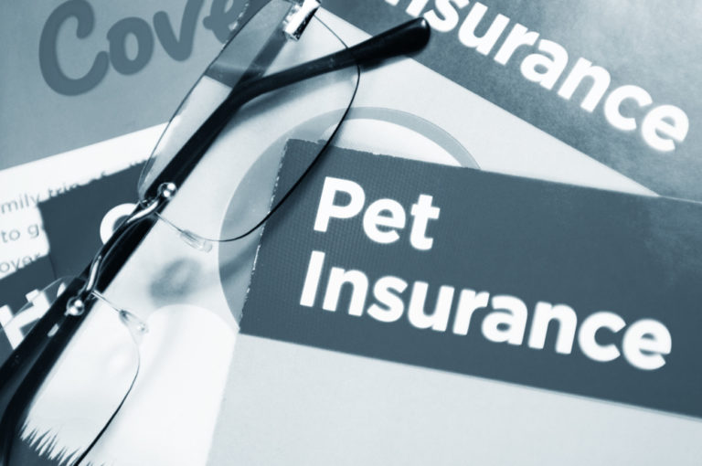 Pet Insurance Az Cost