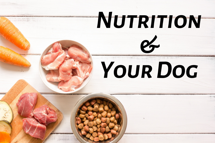 Nutrition & Your Dog