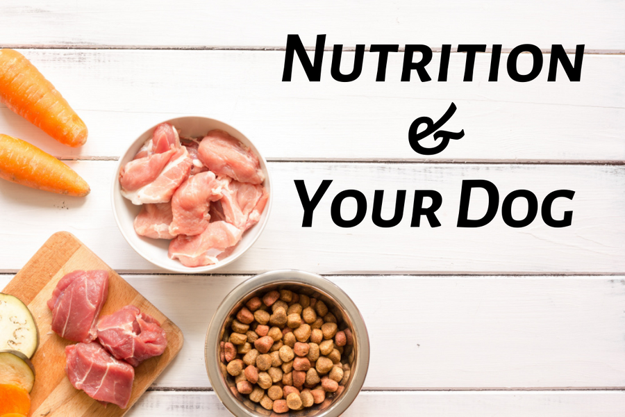 dog nutrition, az dog sports, dog trainer phoenix